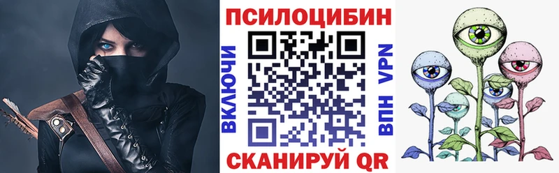 хочу   Петровск  Псилоцибиновые грибы Psilocybine cubensis 